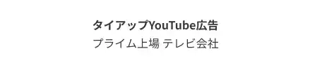 プライム上場テレビ会社向けタイアップYouTube広告支援実績